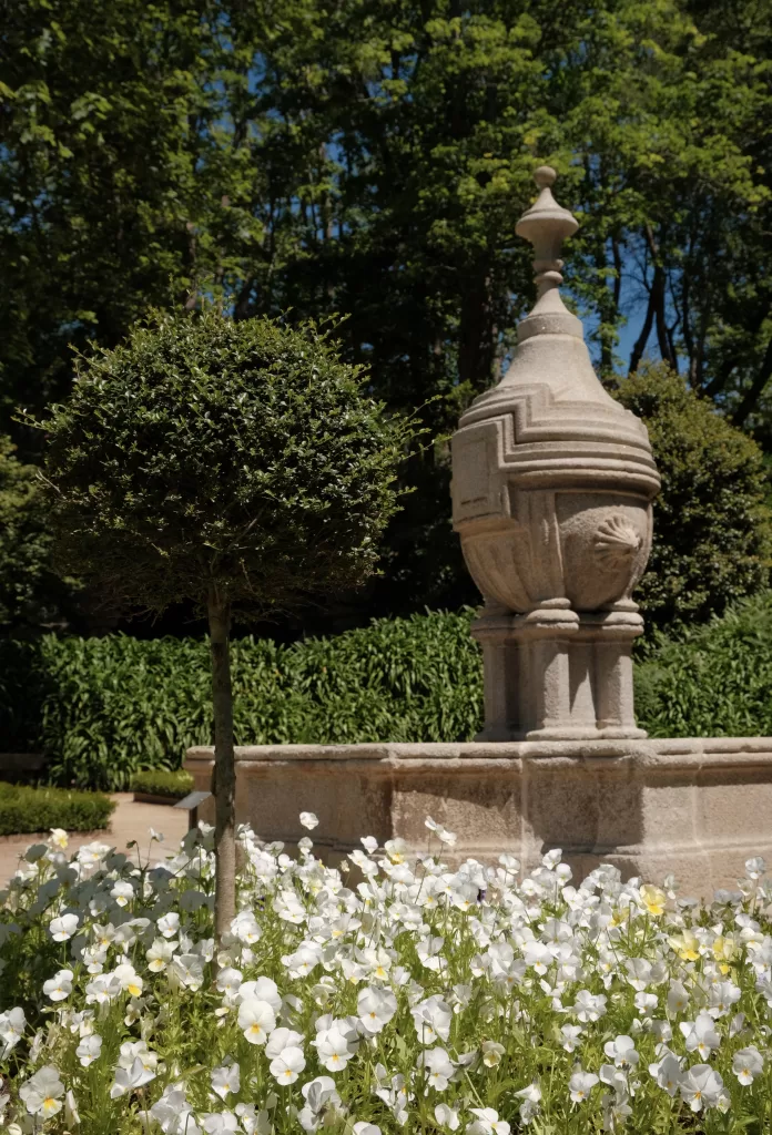 Blooming flowers at Jardim do Palacio de Cristal | things to do in Porto, Portugal