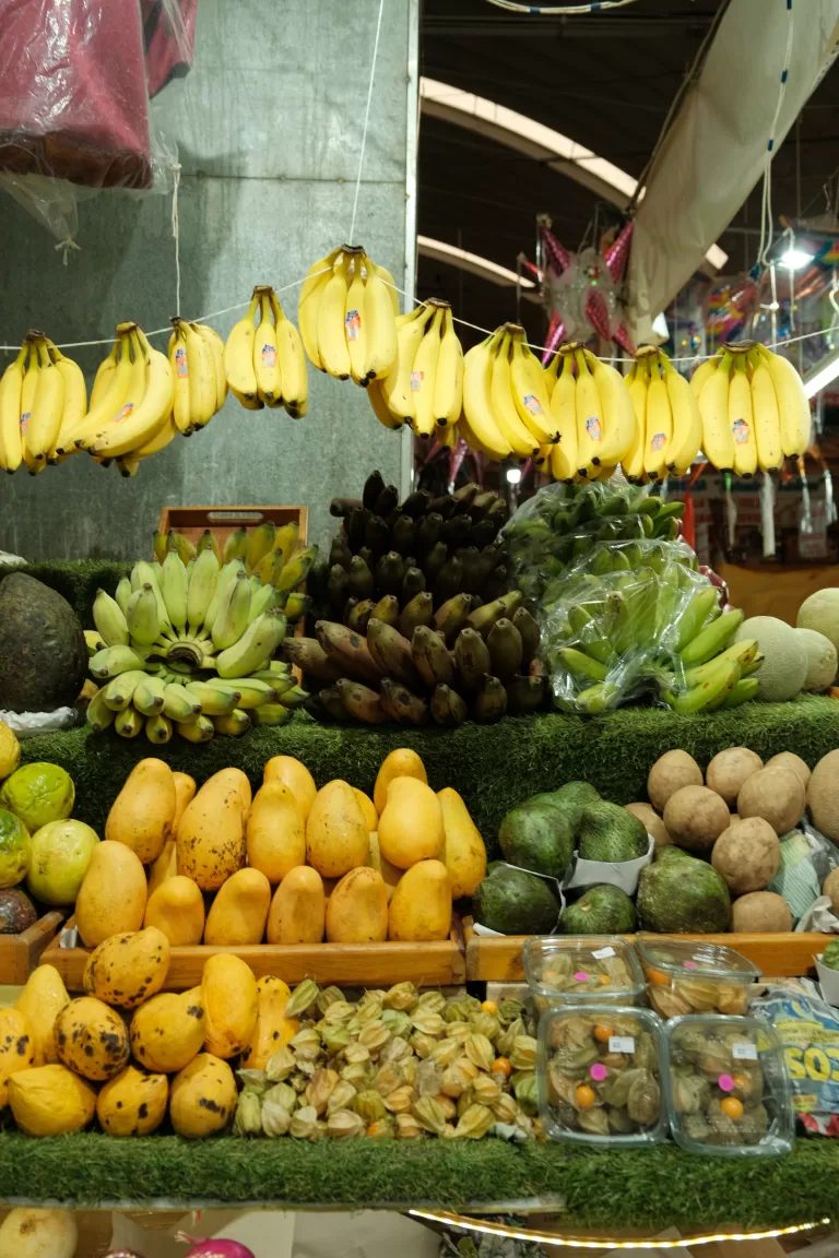 Vegan & Vegetarian in Mexico City: Best Plant-Based Food Tours and Restaurants