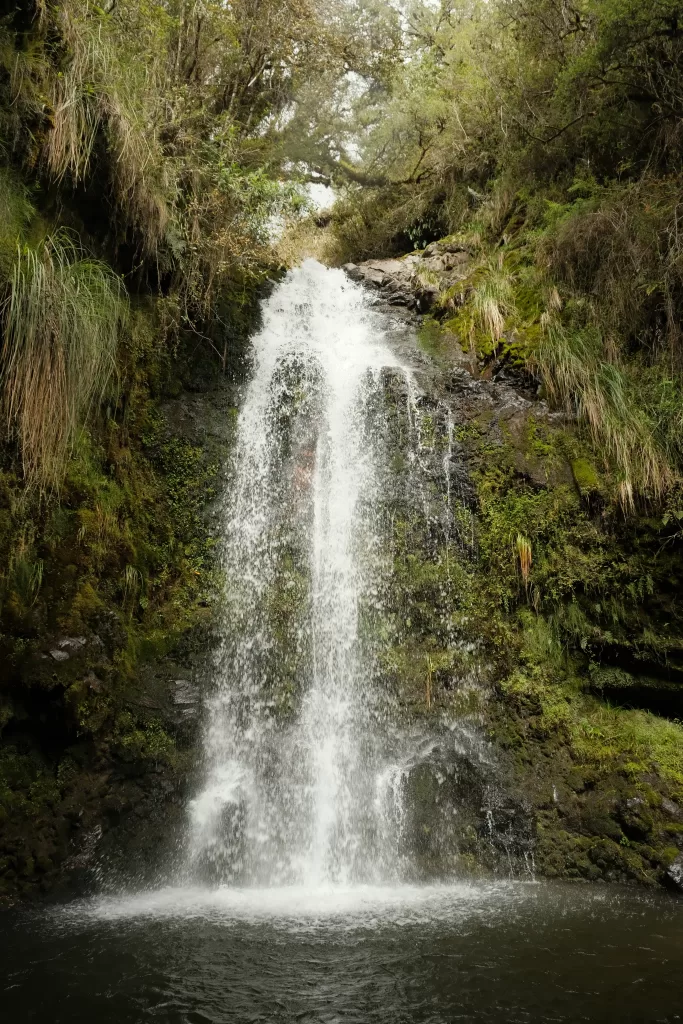 The Secret Garden Cotopaxi, Ecuador