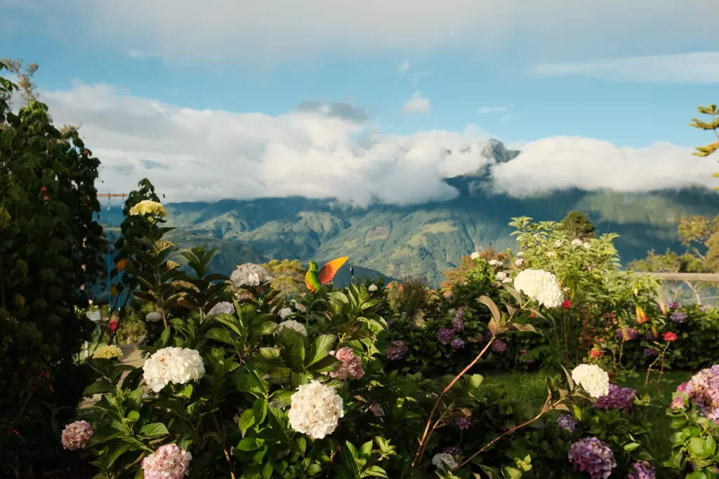 Best things to do in Baños, Ecuador