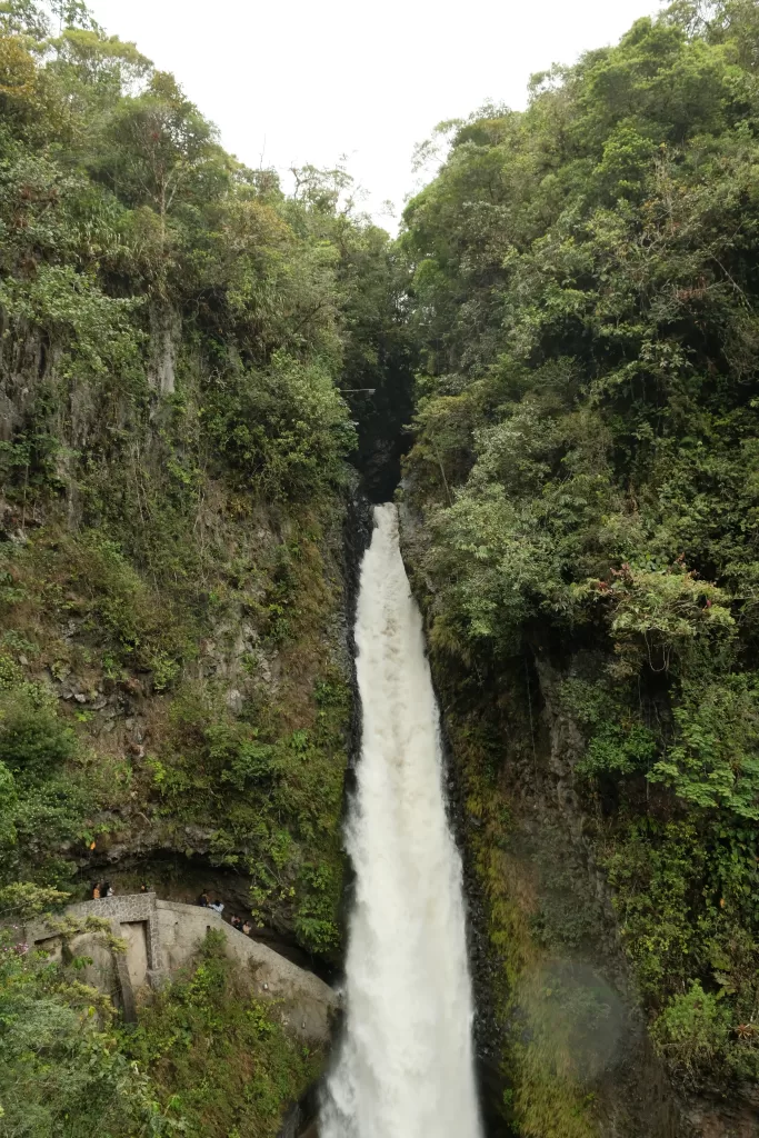 DSCF6167 2