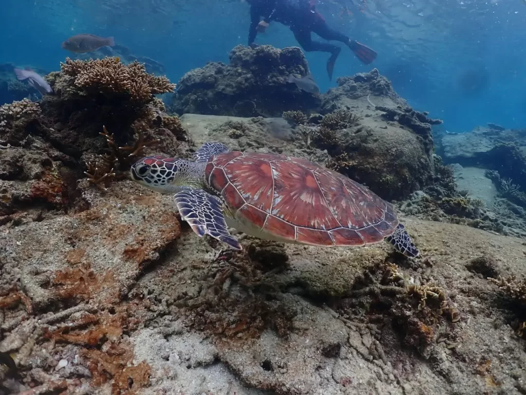 5127881b fdc2 4ea1 b3e0 66a2822d9346