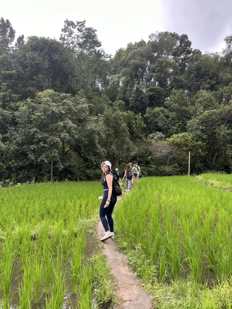 ethical Elephant sanctuary in thailand | things to do in chiang mai thailand