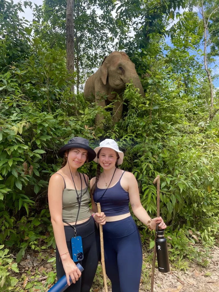 ethical Elephant sanctuary in thailand | things to do in chiang mai thailand