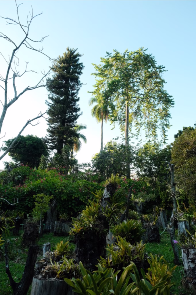 10 Day El Salvador Road Trip Itinerary