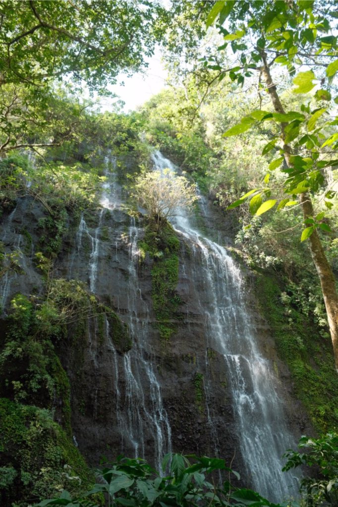 guide to the ruta de las flores el salvador