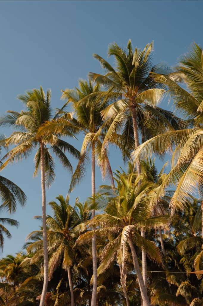 10 Day El Salvador Road Trip Itinerary